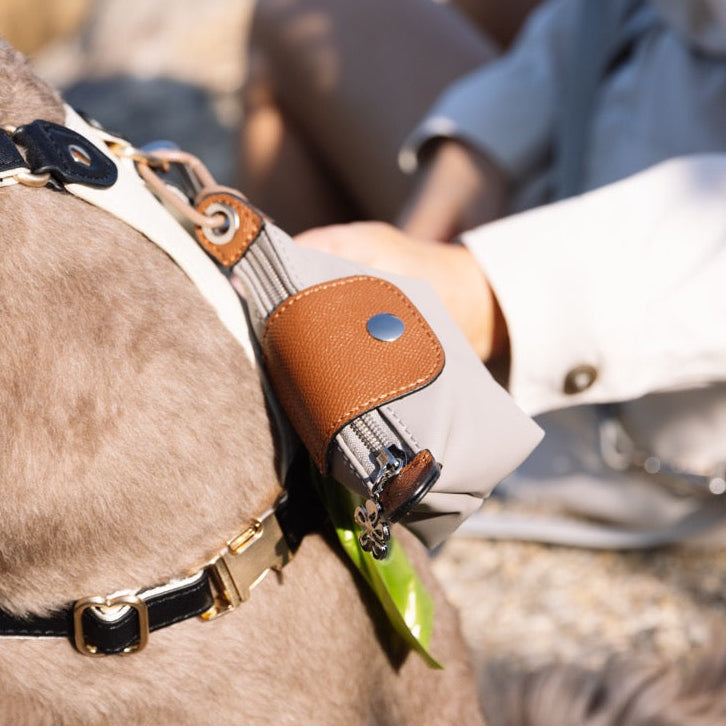 Barkin VII Dispenser & Treat Pouch